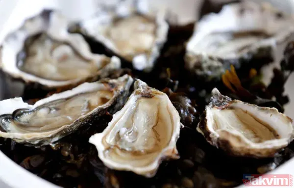 İstiridye: İçerdiği çinko sayesinde testosteron artışını, sperm seviyesinin ve kalitesinin artmasını sağlar.