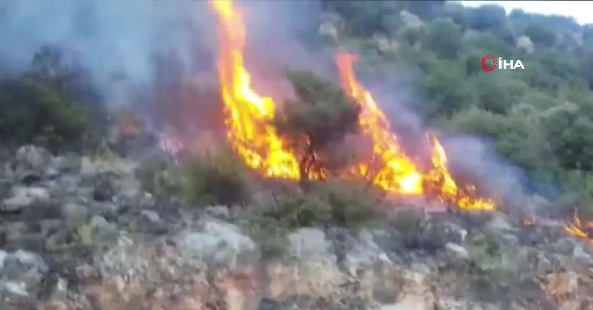Son dakika... Antalya'da korkutan yangın!