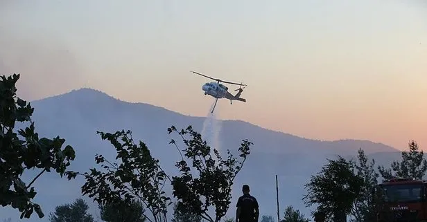 Aydın ve Muğla’da orman yangını | Her iki bölgeden de iyi haber geldi