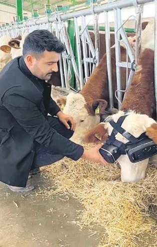 Besici İzzet Çolak sanal gerçeklik gözlükleriyle süt verimini arttırdı