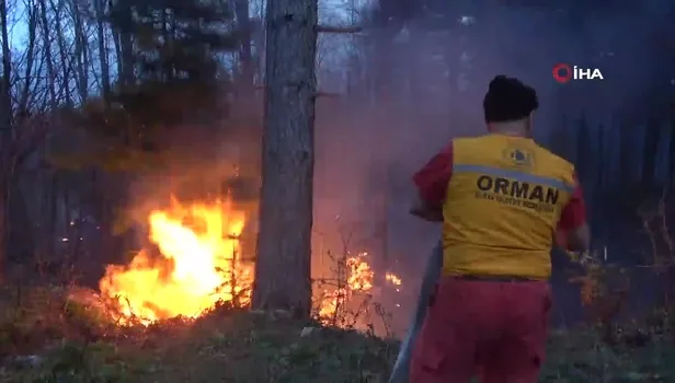 Uludağ'da orman yangını!