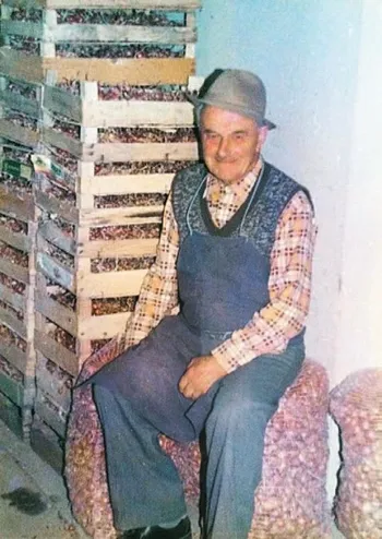 Soğan krizi-1