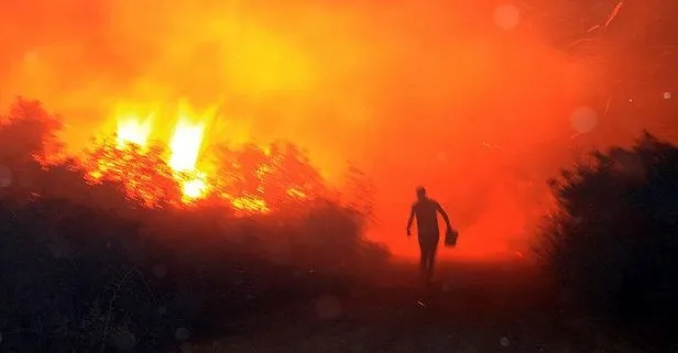 Son dakika: Mersin’de orman yangını