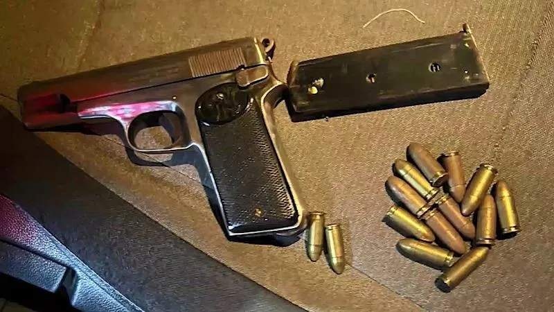 İstanbul'da terör örgütü DHKP-C'ye yönelik operasyon (DHA)