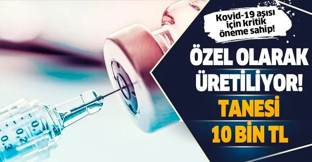 Kovid-19 aşı deneylerinde kullanılan bir fare yaklaşık 10 bin TL