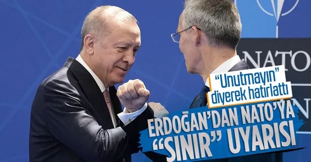 Erdoğan'dan NATO Zirvesi'nde kritik mesaj