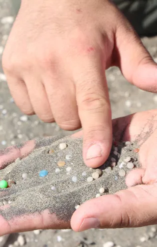 Bir avuç kumda 200 tane var! Denizler ve sahiller için tehlike saçıyor