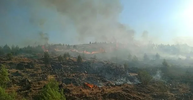 Gaziantep’te ormanlık alanda yangın!