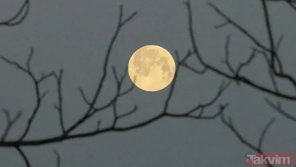 Geceyi aydınlatacak dolunay geliyor! Şubat Ayı Dolunayı tarihi ve burçlara etkisi - 7