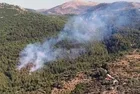 Milas’ta korkutan orman yangını!