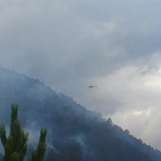 Bolu’da orman yangını!