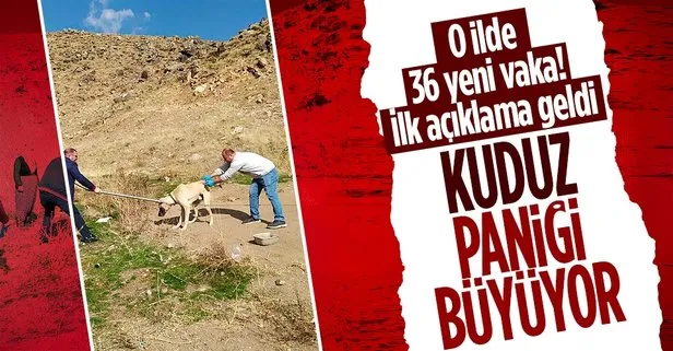 Bitlis’te kuduz paniği büyüyor! 36 vaka tespit edildi! Bir çocuğun tedavisi yoğun bakımda sürüyor