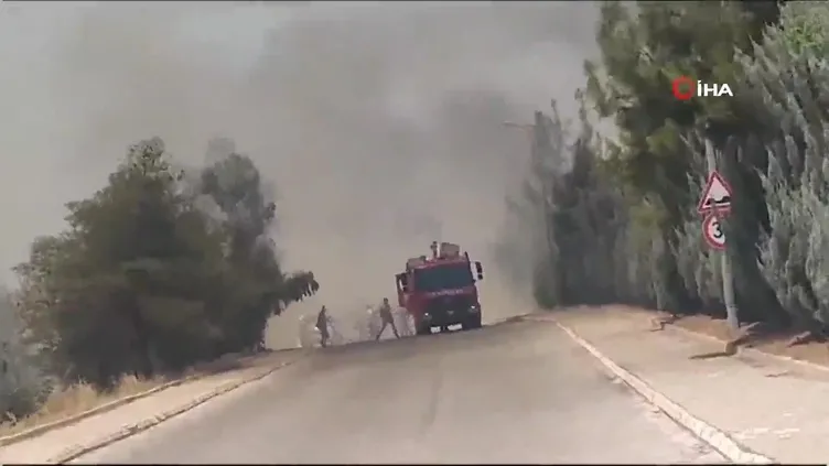 Şanlıurfa'da korkutan orman yangını!