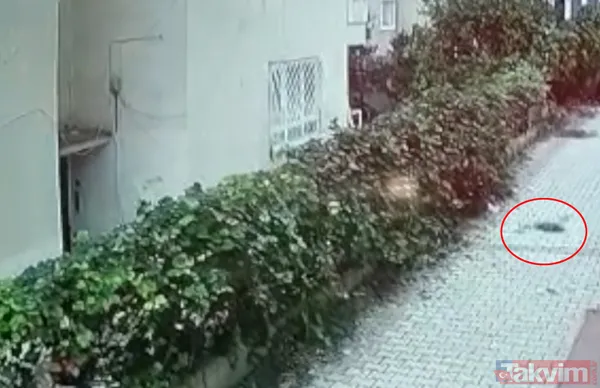 SON DAKİKA: Antalya'da kan donduran olay! Yeni doğmuş kız bebek poşete konulup balkondan aşağı atıldı - 4