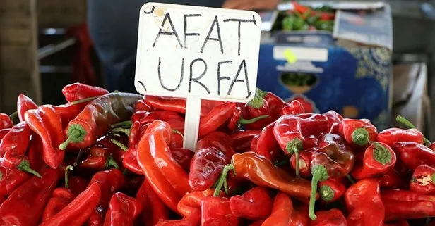 İsot yemek veya sıcakta durmak koronavirüse karşı iyi gelmiyor