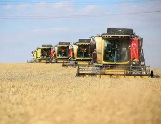 KİT’ler küresel pazara açılıyor