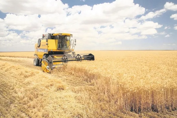 18-yas-altina-eyt-hakki-sosyal-sigortalar-kanunu-detayi-ekonomi-haberleri-1667171632855.jpeg 18 yaş altına EYT hakkı! Sosyal Sigortalar Kanunu detayı | Ekonomi haberleri-3