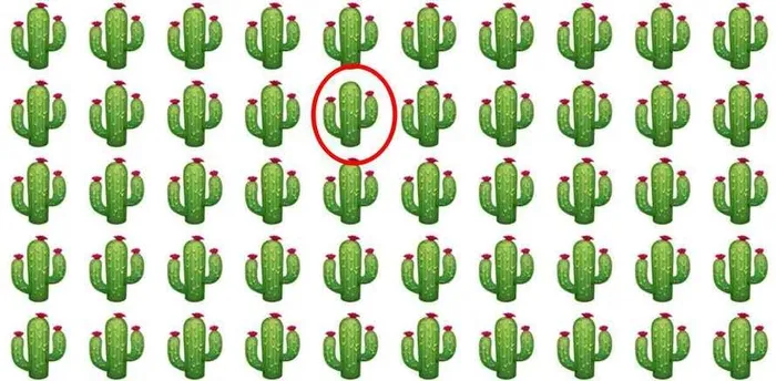 Zihin bükücü: Sadece en keskin gözler farklı kaktüsleri 5 saniyede görebilir! Optik yanılsama göz testi-3