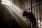 Sokak çetelerinin çocuk tuzağı! Sosyal medyadan tetikçiliğe, eylem başına 50 bin