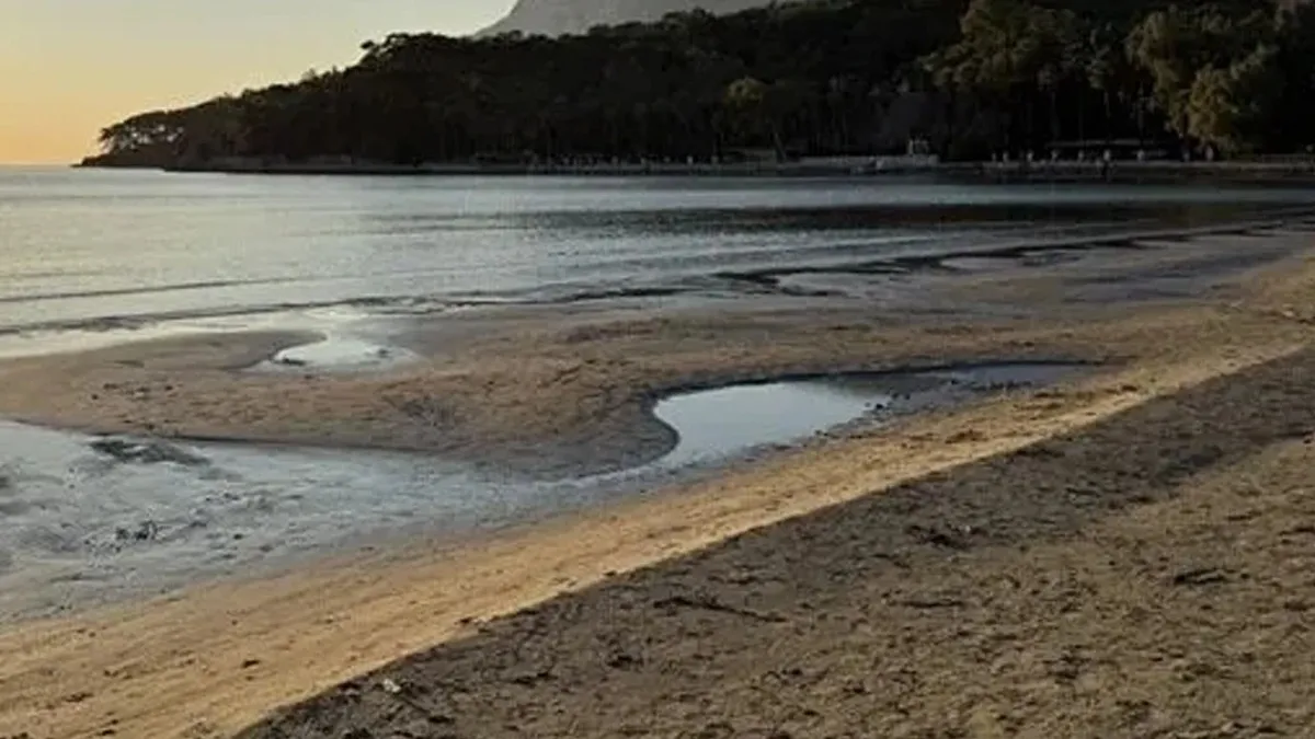 Terme sahilinde mayolu insan iskeleti bulundu... Kimliği tespit edilmeye çalışılıyor
