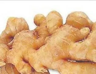 Zencefilin Faydaları