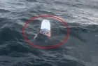 Yalova açıklarında can pazarı! Baba-kızın en zor 5 saati: İmralı'ya kadar sürüklendiler
