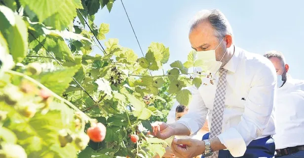 Toprak bereketleniyor Bursa kazanıyor