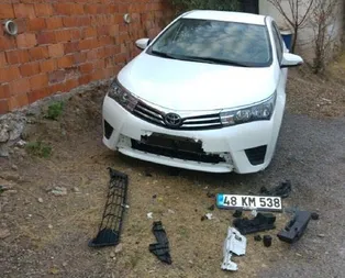 Yine köpek dehşeti