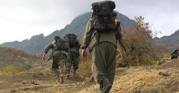 Son dakika: İçişleri Bakanlığı duyurdu! 7 PKK’lı terörist daha ikna yoluyla teslim oldu