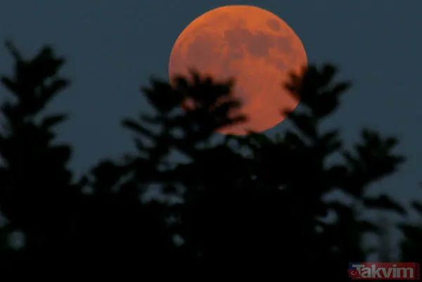 Kanlı AY tutulmasından etkilenen burçlar hangileri? 🌒 AY tutulması Boğa, Yay, Aslan, Koç, Balık, Akrep, İkizler nasıl etkilenecek? - 13