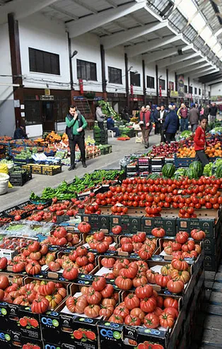 Rusya'nın Ukrayna'ya askeri müdahalesi domates, biber ve salatalık fiyatını yüzde 30 düşürdü