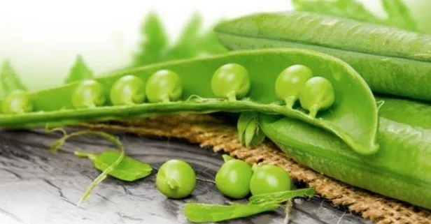 Bezelyenin faydaları nelerdir? Vücuda ne gibi yararları vardır?