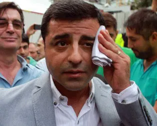 Selo dosya rekoru kırdı