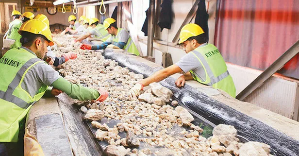 Türkiye'den yeni bor hamlesi! Yılda 10 ton lityum...