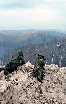 Terör örgütü PKK'ya ağır darbe!
