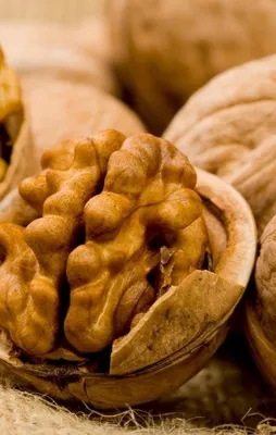 Beynimizi besleyen gıda: Ceviz