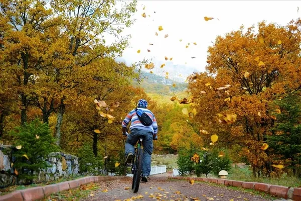 en-guzel-sonbahar-sozleri-sonbaharla-ilgili-romantik-sozler-arkadasa-sevgiliye-sonbahar-mesajlari-1600756194462.jpg En güzel sonbahar sözleri! Sonbaharla ilgili romantik sözler! Arkadaşa sevgiliye sonbahar mesajları!-3