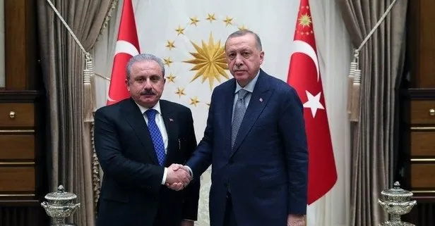 Başkan Erdoğan, TBMM Başkanı Şentop’u kabul etti