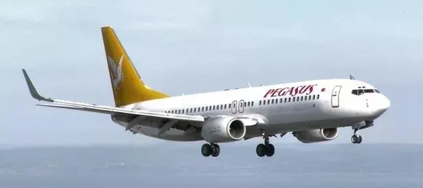 Pegasus uçağı piste giren tavşana çarptı