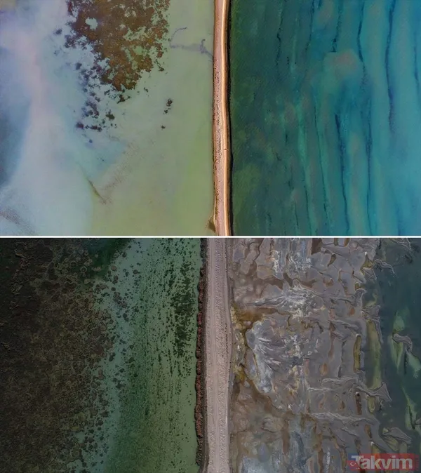 Van Gölü can çekişiyor! Kuraklık nedeniyle kara parçaları ortaya çıktı - 10