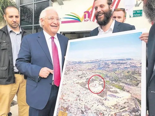 Karanlık planın fotoğrafı-1