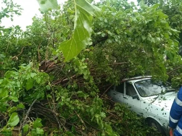 Adana'da fırtına hayatı felç etti-6