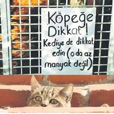 istedigini-yap-diyen-ama-aslinda-istemeyen-insan-1777665092433.jpeg
