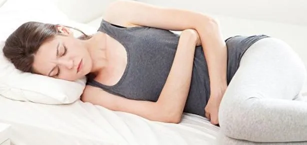 Hemoroidin anatomisi