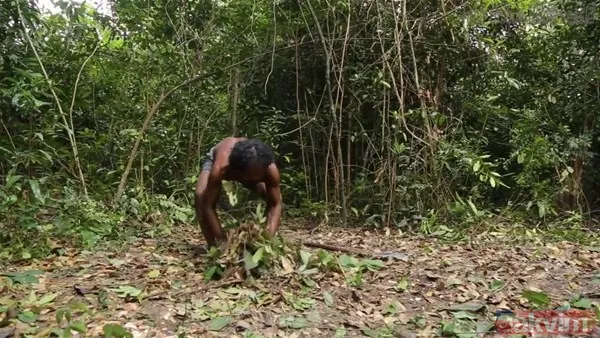 Sadece ağaç kullanarak öyle bir şey yaptı ki! YouTube videosu milyonlar izlendi - 2