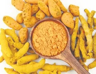 Her derde deva zerdeçal!