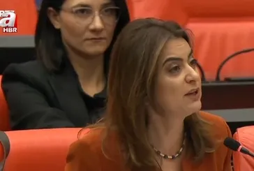 Meclis’te Halep tartışması! DEM Parti Türk bayrağından rahatsız oldu