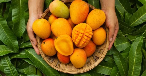 Çölyak glüten dostu | Çölyak hastalığı nedir? (Sağlık haberleri)