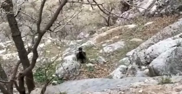 Pençe-Kilit bölgesinde 5 PKK'lı terörist teslim oldu