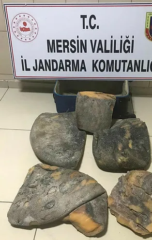 Mersin'de ele geçirildi! Balina kusmuğunun değeri dudak uçuklattı!